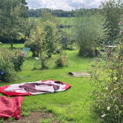 B52B8248-A087-413F-9A5F-F756FA20086C