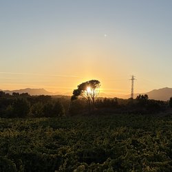 IMG_0236