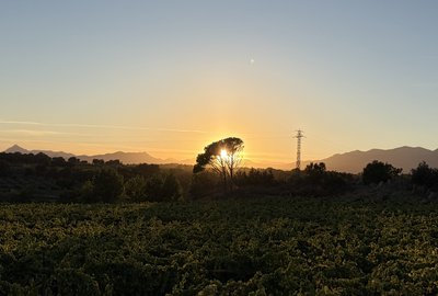 IMG_0236