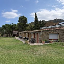 IMG_0250