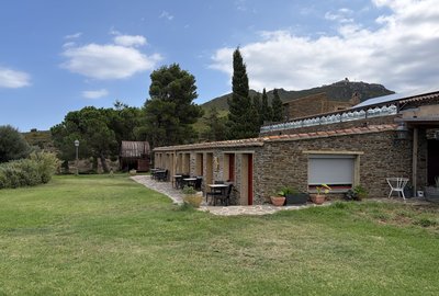 IMG_0250