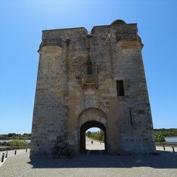 dji_mimo_20260608_123920_33_1781279977592_photo