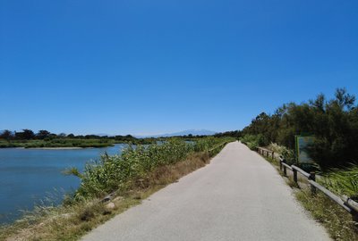dji_mimo_20260612_150628_38_1781279977205_photo